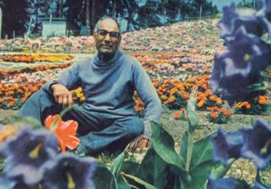 mr. shadi sitting in his flowers
