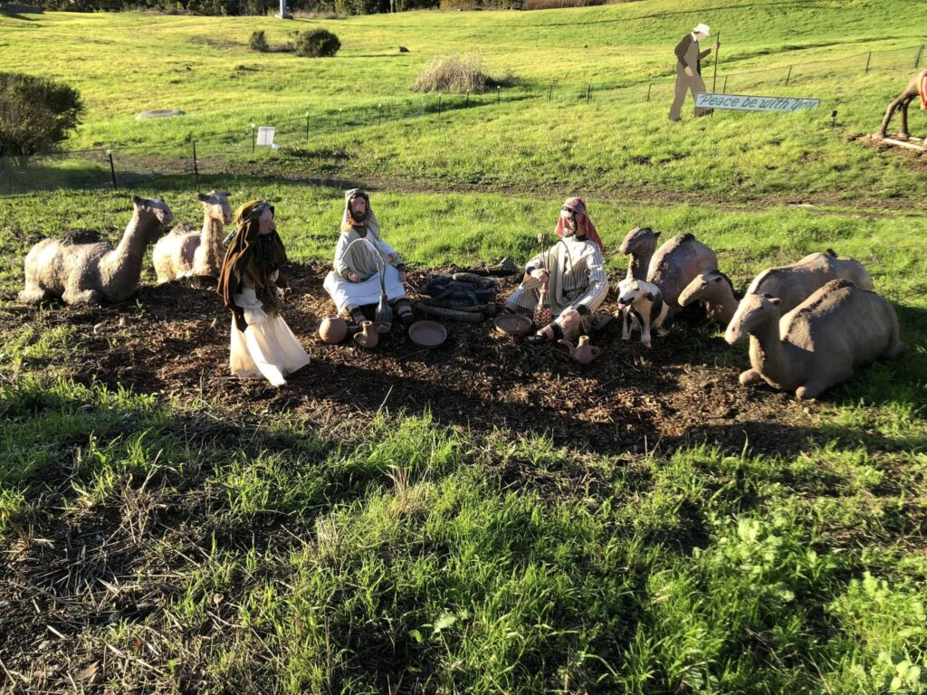 shepherds sitting at the campfire figures surrounded by camel figures