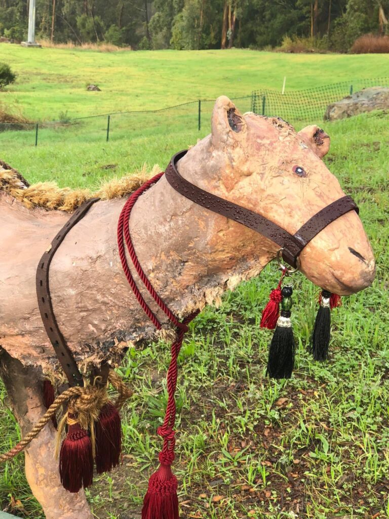 camel with red and black tassels