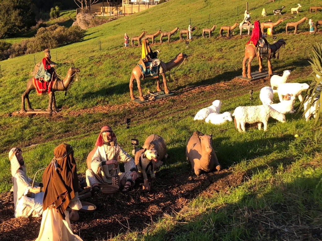 shadi holiday display at sunset