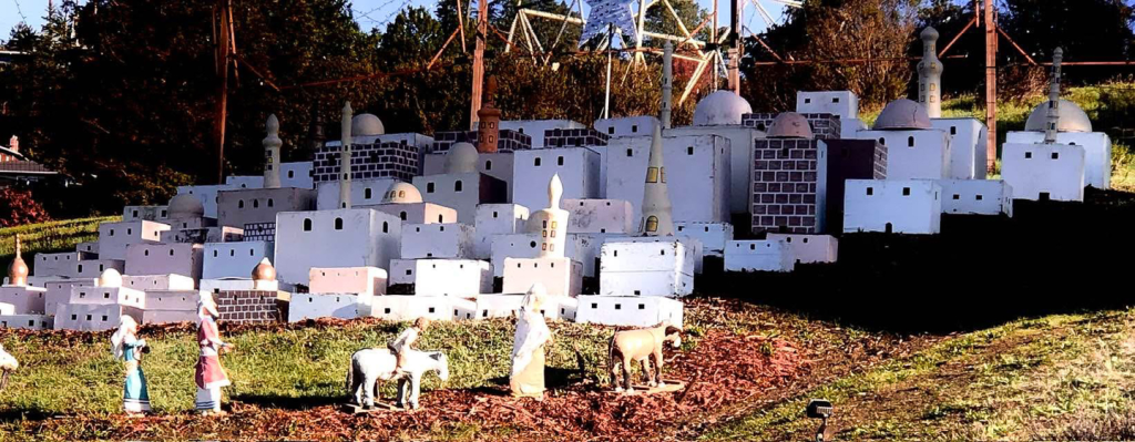 display in the morning