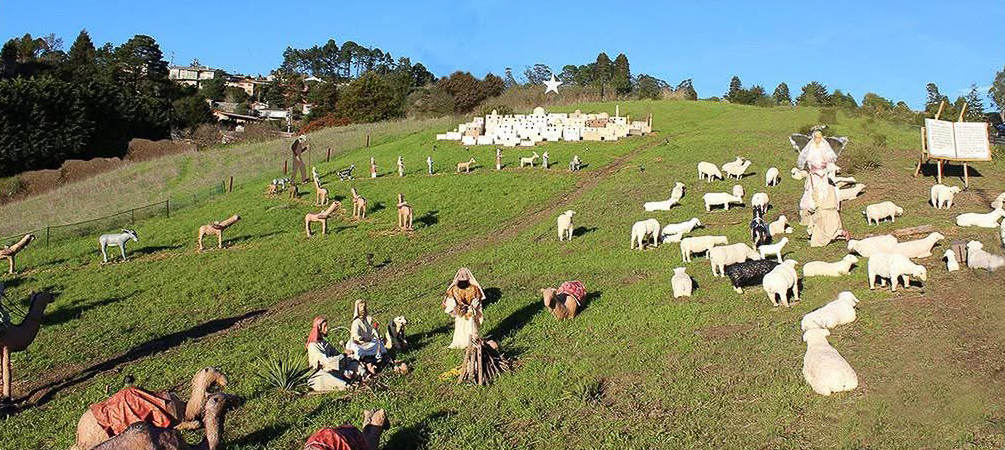 sundar shadi holiday display at sunset