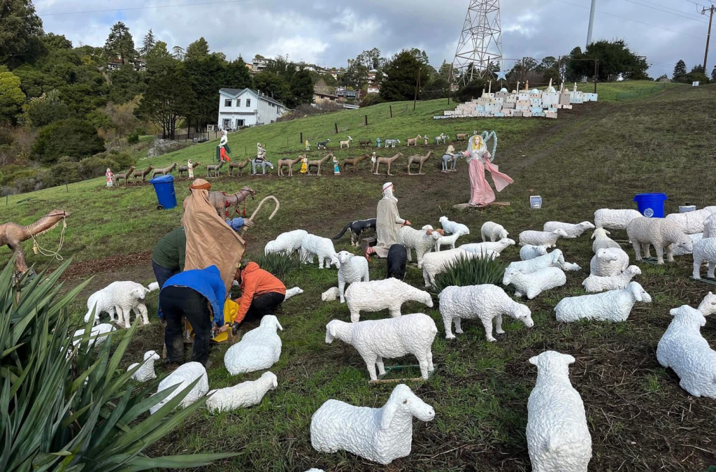volunteers setting up a shepherd on an overcast day