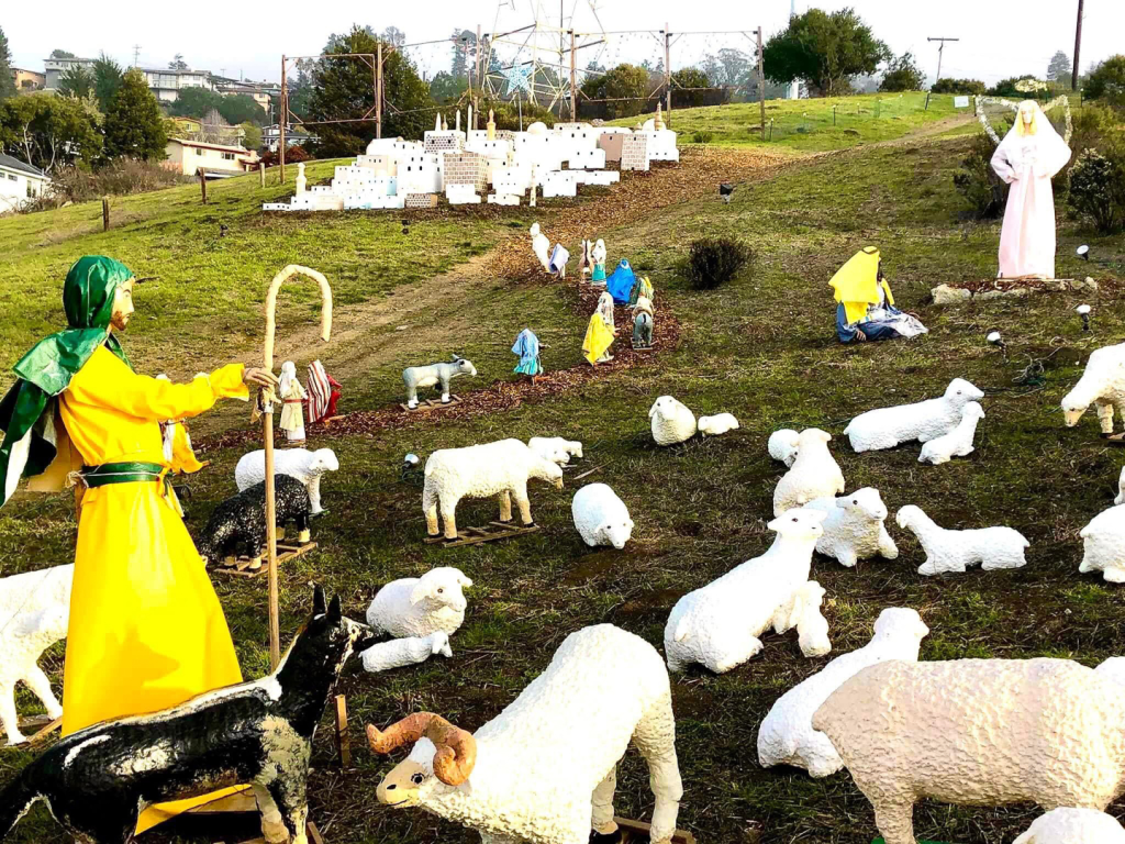 display in the morning with yellow shepherd and sheep flock in front
