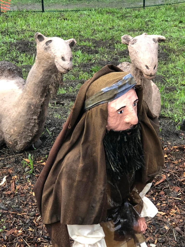 shepherd in brown clothes with two camels